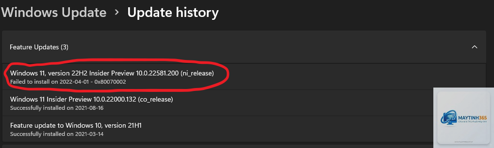 0x80070002 update windows 11 - Hình 5