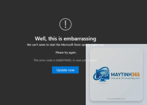 0x80070005 microsoft store