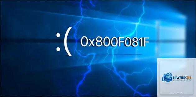 0x800f081f net framework - Hình 2