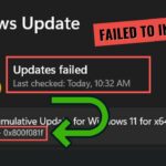 0x800f081f windows 11