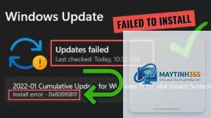 0x800f081f windows 11