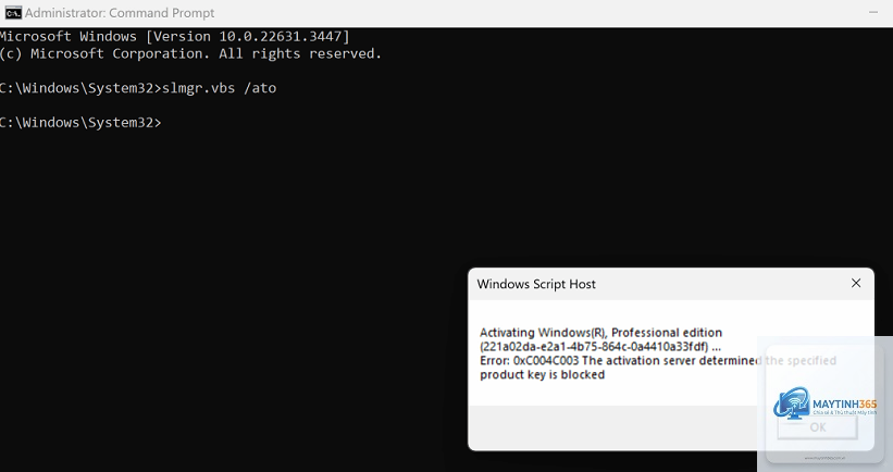 0xc004c003 windows 11 - Hình 3