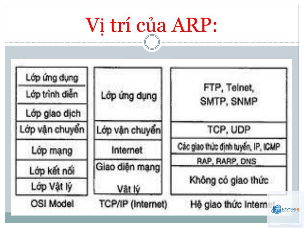 ARP Table là gì - Hình 2