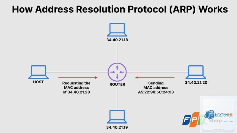 ARP Table là gì - Hình 3
