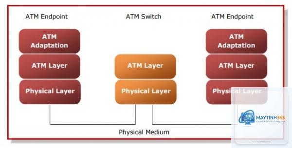 ATM Network là gì - Hình 2