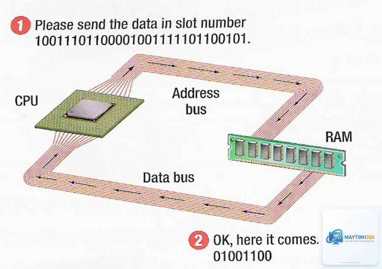 Address Bus là gì - Hình 2