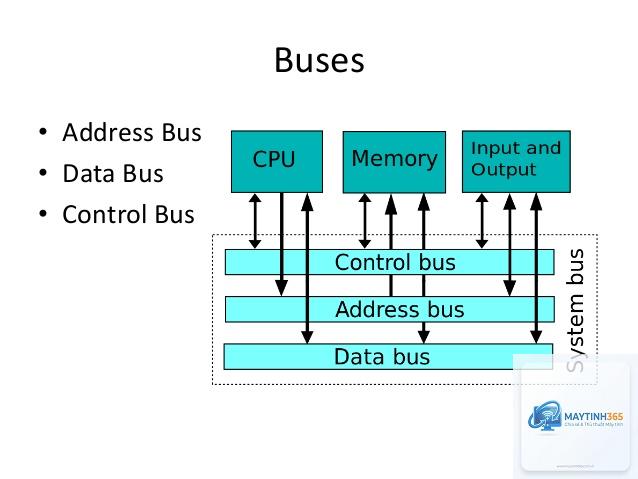 Address Bus là gì - Hình 3