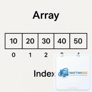 Array là gì
