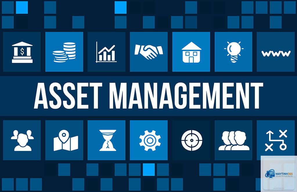 Asset Management là gì