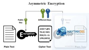 Asymmetric Encryption là gì