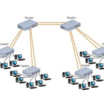 Backbone Network là gì