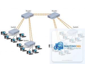 Backbone Network là gì
