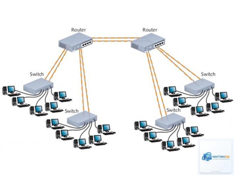 Backbone Network là gì