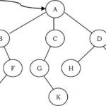 Binary Tree là gì