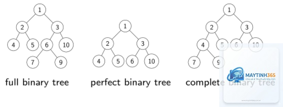 Binary Tree là gì - Hình 2