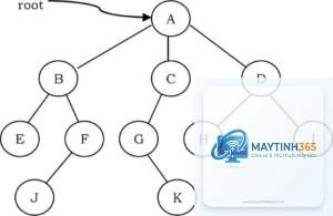 Binary Tree là gì