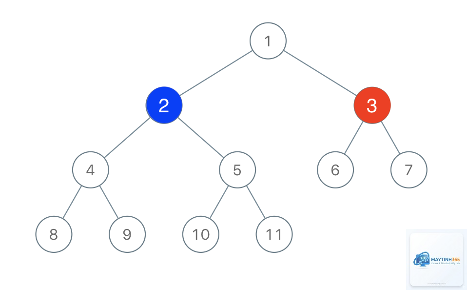 Binary Tree là gì - Hình 3