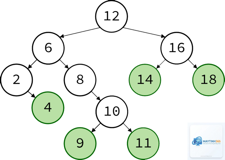 Binary Tree là gì - Hình 4