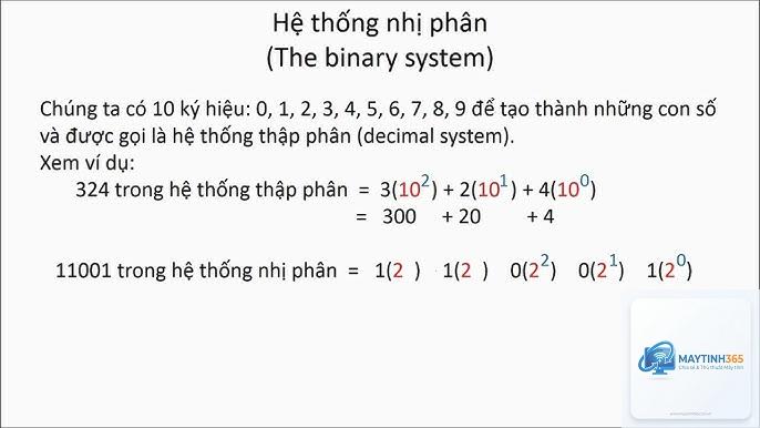 Binary là gì - Hình 2