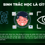 Biometric Authentication là gì? Giải pháp xác thực sinh trắc học toàn diện cho kỷ nguyên số Biometric Authentication là gì
