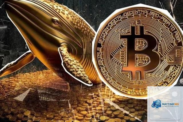 Bitcoin là gì - Hình 4