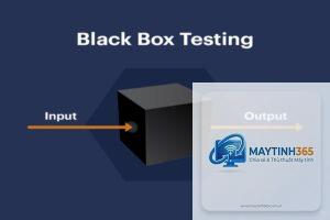 Black Box Testing là gì