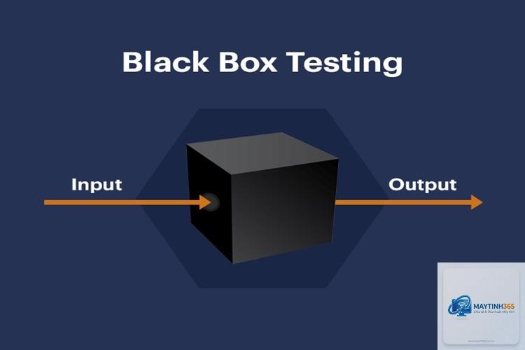 Black Box Testing là gì - Hình 1
