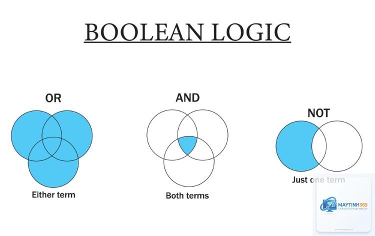 Boolean là gì - Hình 2
