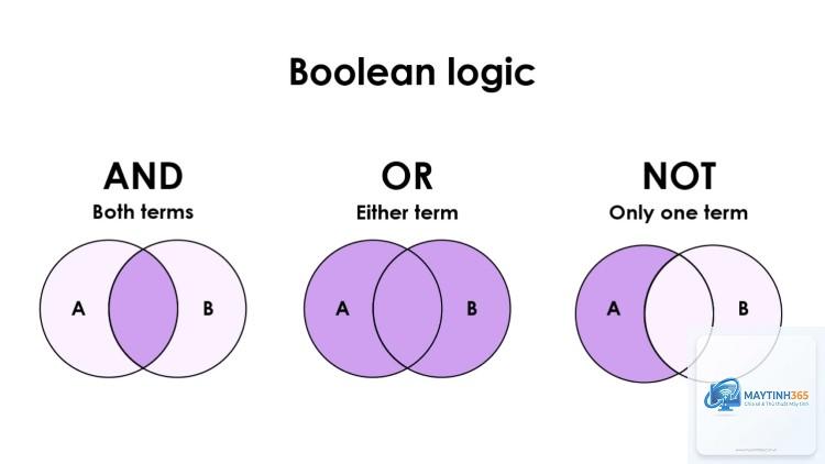 Boolean là gì - Hình 3