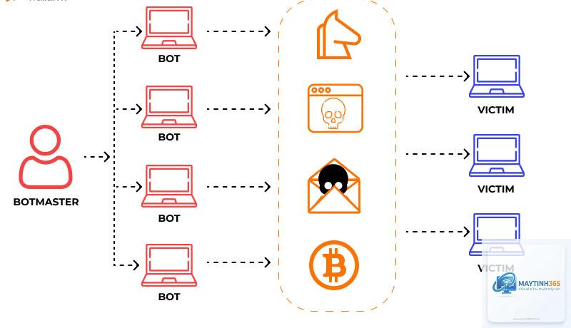 Botnet là gì - Hình 2