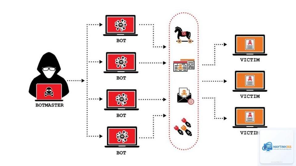 Botnet là gì