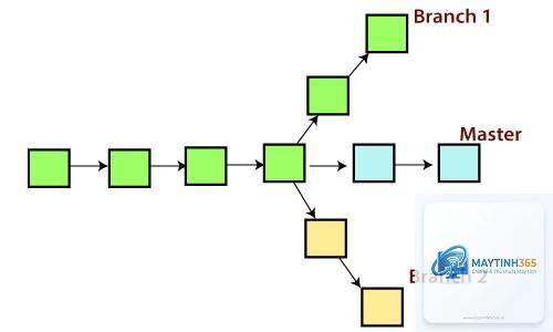 Branch là gì - Hình 3
