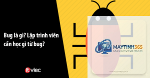 Bug là gì