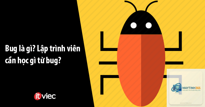 Bug là gì