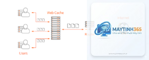 Cache Web là gì