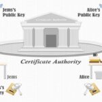 Certificate Authority là gì? Vai trò then chốt trong bảo mật website và email Certificate Authority là gì