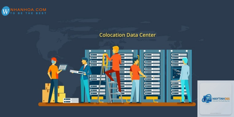 Collocation Server là gì - Hình 2