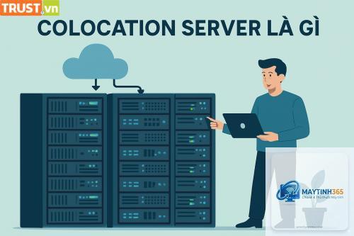 Collocation Server là gì