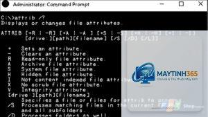Command Prompt là gì