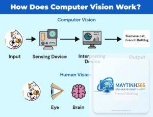Computer Vision là gì