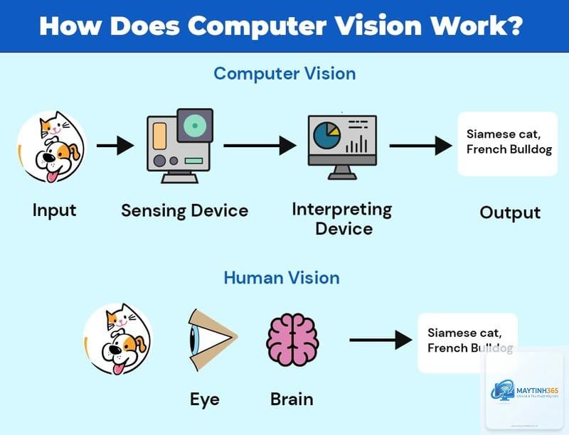 Computer Vision là gì
