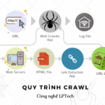 Crawler là gì