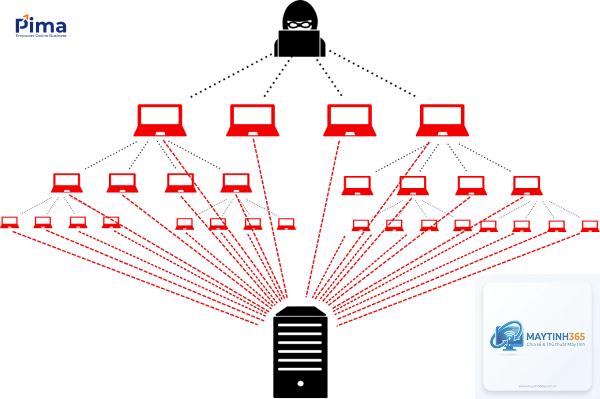 DDoS là gì - Hình 1