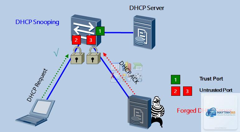 DHCP là gì - Hình 4