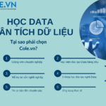 Data Analytics là gì? Toàn tập kiến thức từ A-Z cho người mới bắt đầu Data Analytics là gì