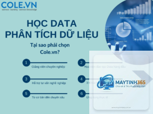 Data Analytics là gì