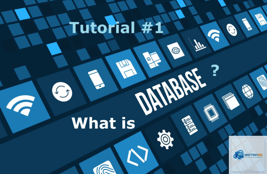 Database là gì - Hình 2