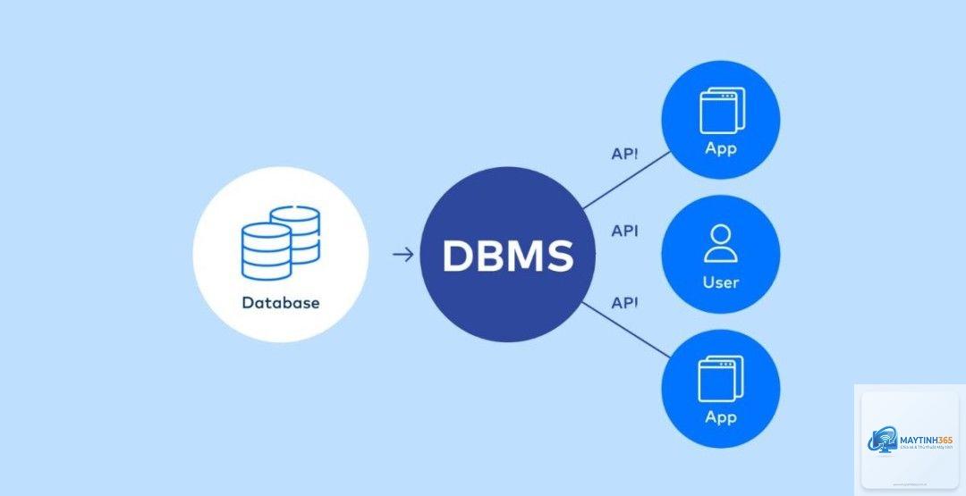 Database là gì - Hình 3