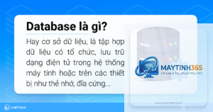 Database là gì