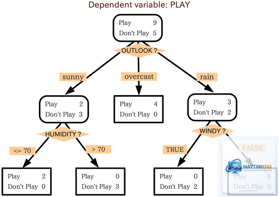 Decision Tree là gì - Hình 3